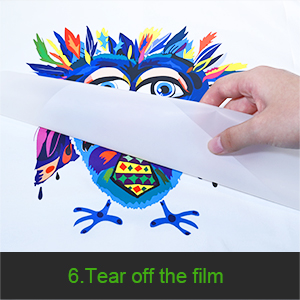 مواد الطباعة DTF البيضاء مقاومة الحرارة DTF مسحوق اللاصق الذوبان الساخن للأنسجة 6