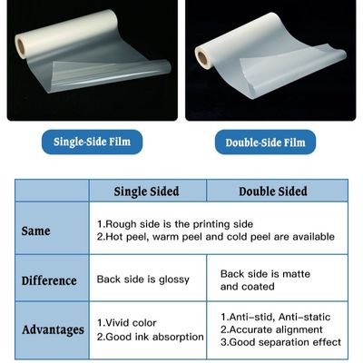 فيلم الحيوانات الأليفة DTF مزدوج الجانب 30CM 33CM 60CM 60CM * 100M تحويل الحرارة للفيل 75Micron Hot Cold Peel