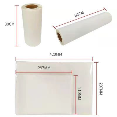 فيلم DTF Hot Peel Double Matte 30cm*100m فيلم الطباعة بالحبر الأبيض
